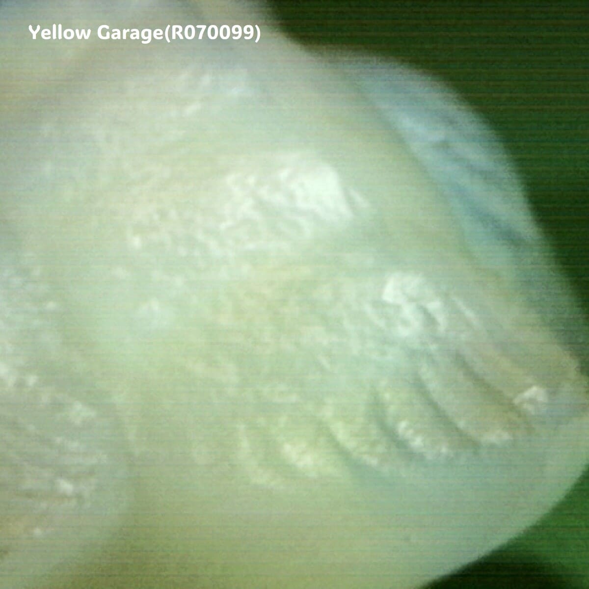 サビノ アールデコ ガラスバードオブジェ（SABINO FRANCE）