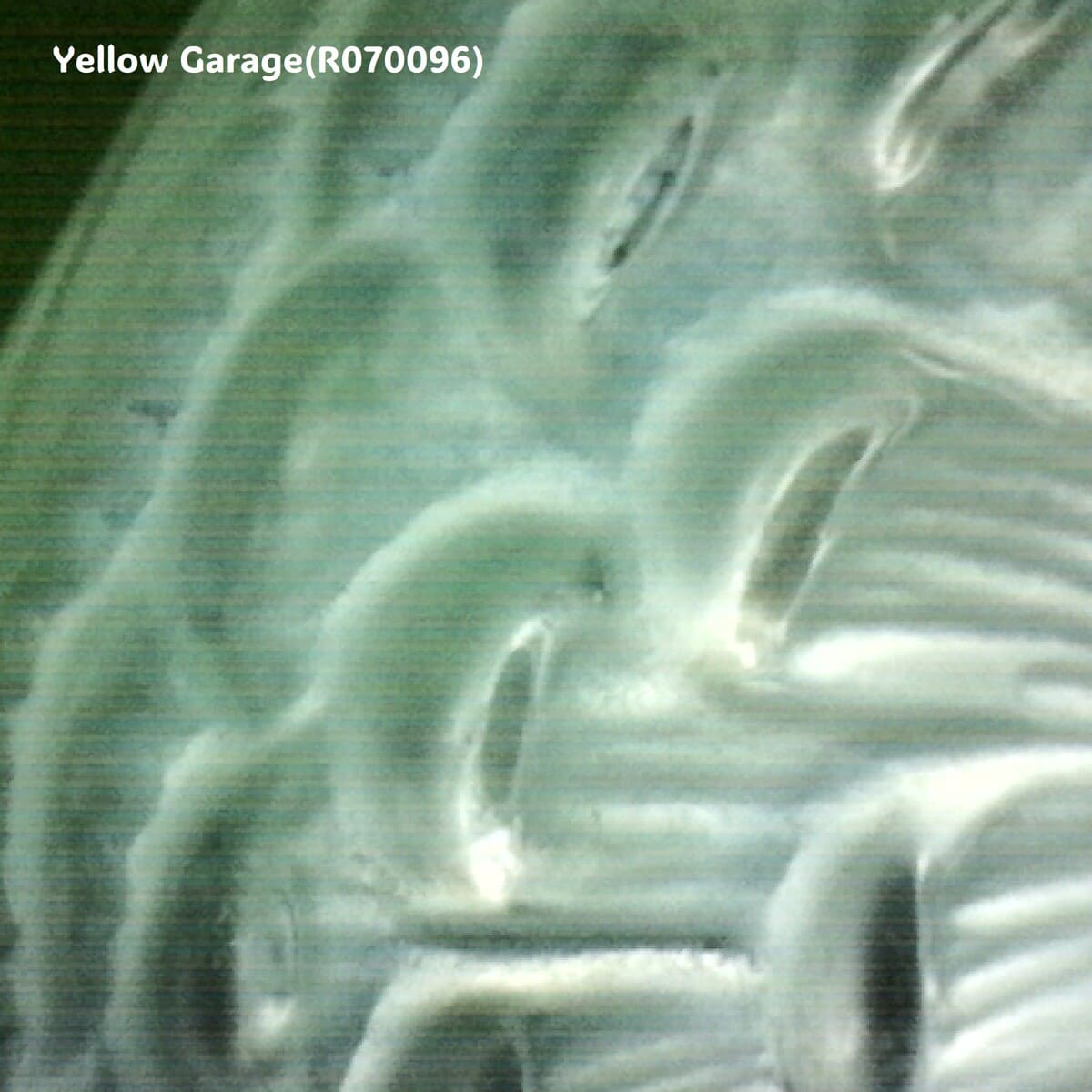 R. Lalique ダリア「Dahlia」・パフュームボトル – 両面花文様の芸術的逸品