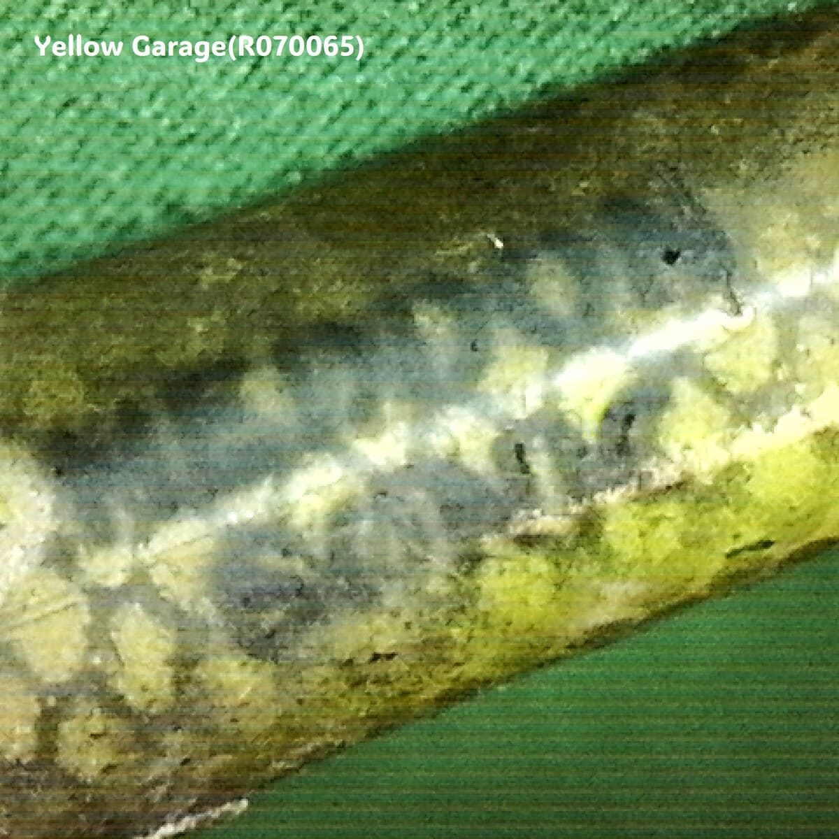 アンティーク Heddon Sonic ルアー（ビンテージ フィッシング）