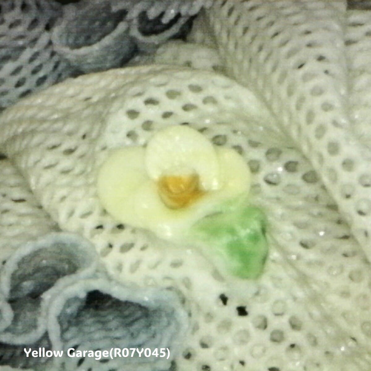 【ヴィンテージ・ドレスデンレース人形】Irish Dresden「Gina」Germany製／陶器フィギュリン