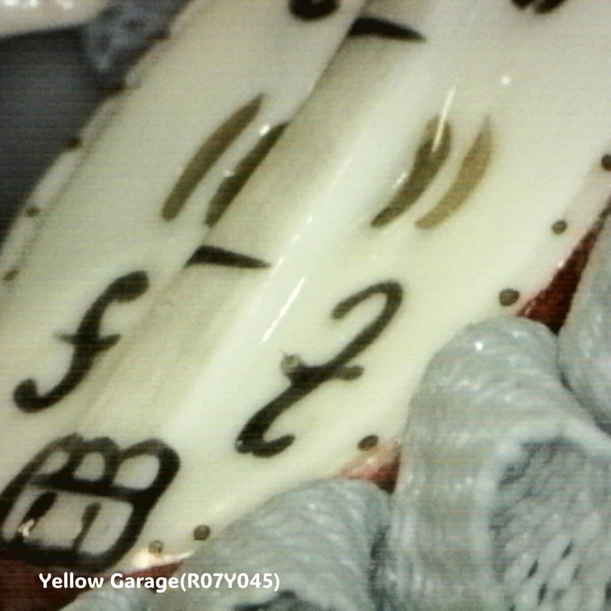 【ヴィンテージ・ドレスデンレース人形】Irish Dresden「Gina」Germany製／陶器フィギュリン