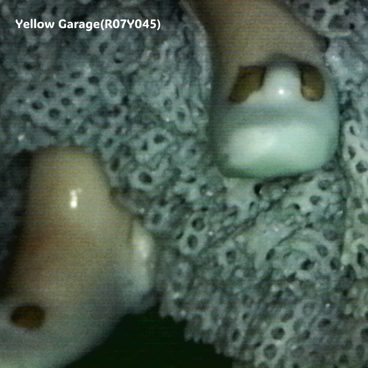 【ヴィンテージ・ドレスデンレース人形】Irish Dresden「Gina」Germany製／陶器フィギュリン