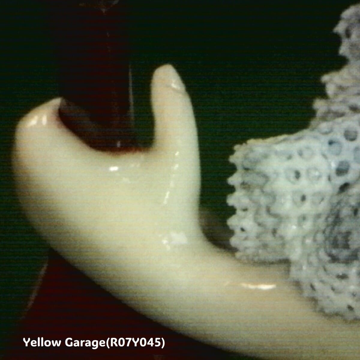 【ヴィンテージ・ドレスデンレース人形】Irish Dresden「Gina」Germany製／陶器フィギュリン