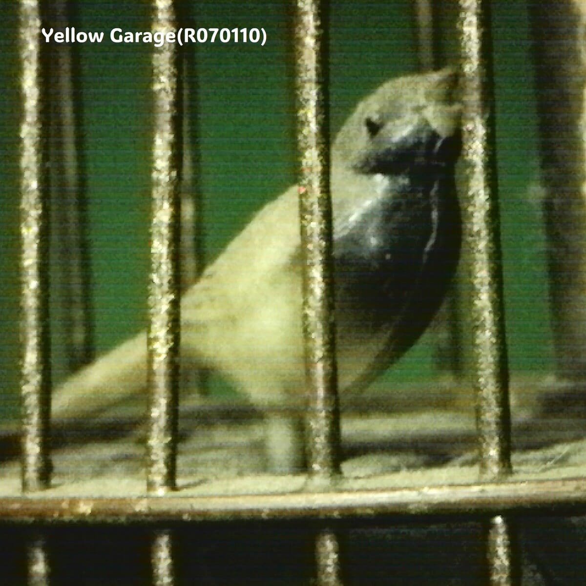 ヴィンテージ 鳥かご型ロータリークロック（マーブルベース）