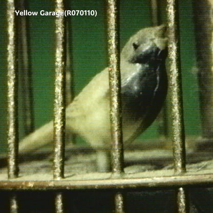 ヴィンテージ 鳥かご型ロータリークロック（マーブルベース）