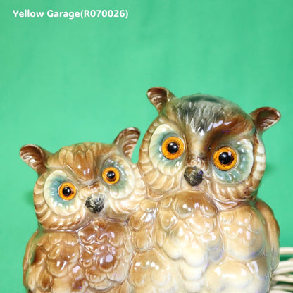 知恵と安らぎを灯すフクロウ親子