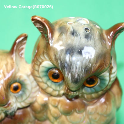 知恵と安らぎを灯すフクロウ親子